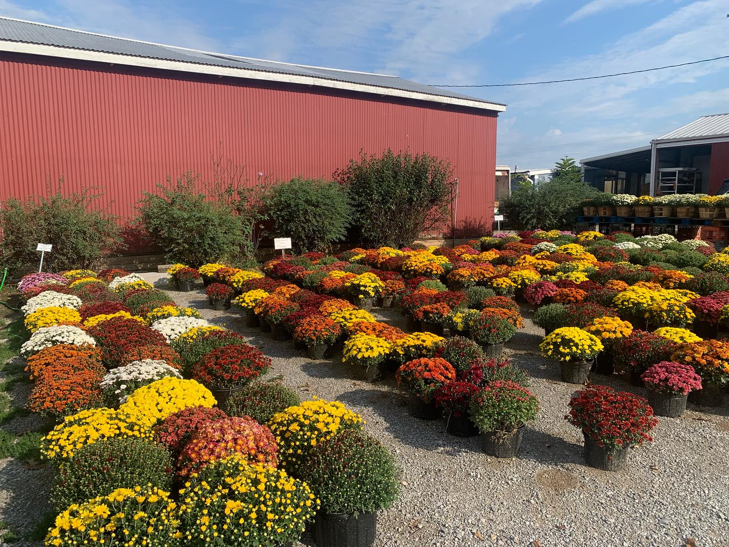 Scharf Farm